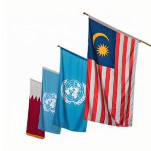 3x5 Malaysia National <b>Flag</b> Desk <b>Flag</b> <b>Promotional</b> Malaysian <b>Banner</b> Silk Screen Printed Polyester - Product Image 4