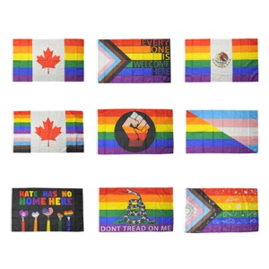 Banderas Multicolores de 3x5 pies de Poliéster Impresas Digitalmente con el Arcoíris del Orgullo LGBTQIA, la Maldad No Tiene Lugar Aquí - Product Image 2