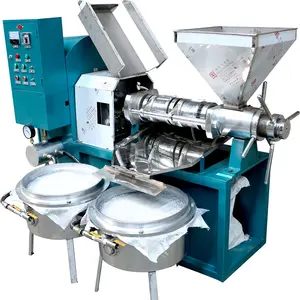 Hot Selling Machine to Make Peanut Oil Coconut Oil Expeller with Castor Oil Extraction Machine with High Production