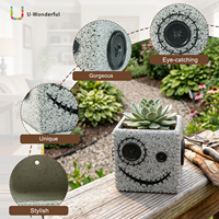 Pot de fleurs en résine carré brodé à la main, motif bouton souriant, pour plantes succulentes, ornement de table, statue de jardin pour la maison