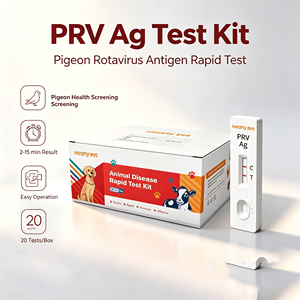 Kit <span class=keywords><strong>de</strong></span> Prueba Rápida <span class=keywords><strong>de</strong></span> Antígeno del Rotavirus Aviar, Directo <span class=keywords><strong>de</strong></span> Fábrica, Kit <span class=keywords><strong>de</strong></span> Prueba PRV Ag <span class=keywords><strong>para</strong></span> Análisis Patológico - Product Image 3