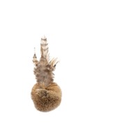 Jouet à mâcher classique pour chat avec boule à grincer, plumes douces, boules en pompon et queue interactive en fourrure de lapin pour l'intérieur