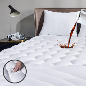 Coprimaterasso trapuntato impermeabile coprimaterasso produttore oeko-tex imbottito doppio strato 200gsm coprimaterasso per <span class=keywords><strong>letto</strong></span> - Product Image 1