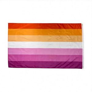 Bandera Impermeable de Poliéster de 3x5 pies con Diseño del Progreso del Orgullo Lésbico y Gay, con 2 Ojales de Latón, Logotipo Personalizado, Estilo Portátil para Colgar - Product Image 2