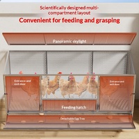 Poulailler respirant en fer pour l'intérieur et l'extérieur, grande cage de collecte d'œufs avec filet métallique