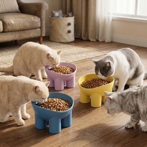Offre Spéciale – Gamelle surélevée à trois pieds en plastique, inclinée et anti-renversement pour chats et chiens – Gamelle d'alimentation et d'eau – Fournitures pour animaux de compagnie en gros à prix abordable - Product Image 2
