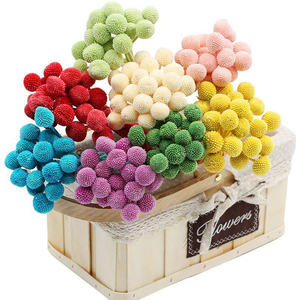 Billy Button Bolas doradas Flores secas preservadas para ramo de boda Decoración navideña Craspedia Billy Ball Craspedia Bola dorada - Product Image 1