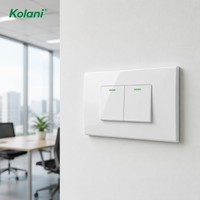 Placa de Control de Luz de Montaje Oculto Kolani 120 de Doble Módulo, Interruptor de Pared con Indicador LED Verde de Dos Botones, Panel de PC Blanco Brillante