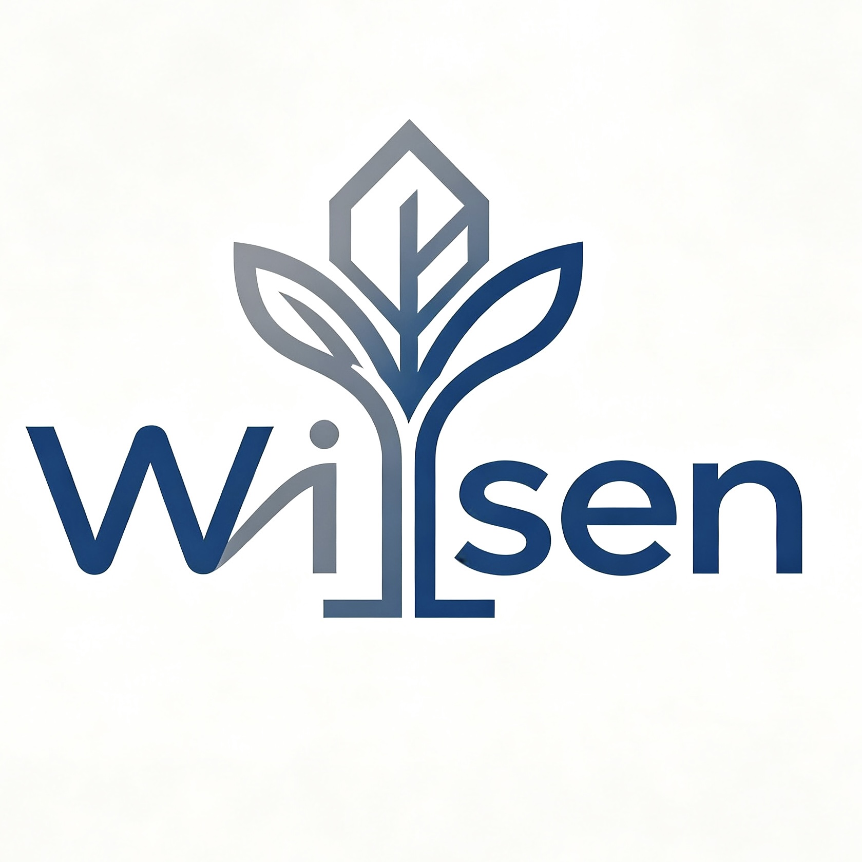 Chongqing Wisen Cross-Border E-Commerce Co., Ltd. logo