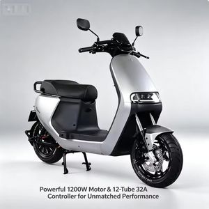 <span class=keywords><strong>Moto</strong></span> électrique haute puissance 1001-2000W, batterie au plomb-acide, forte capacité de montée, vitesse maximale 61-80 km/h, charge utile 300-500 kg - Product Image 5