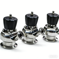 Valve d'échantillonnage aseptique bidirectionnelle de type sans germe, valve d'échantillonnage hygiénique en acier inoxydable pour les industries biotechnologiques et des boissons