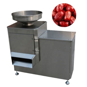Highcapacity Fruit Molasses Production Line Suitable for <b>Red</b> <b>Date</b> and Various Fruits - Product Image 3