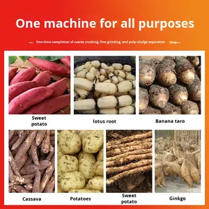 Máquina profesional <span class=keywords><strong>de</strong></span> procesamiento <span class=keywords><strong>de</strong></span> harina <span class=keywords><strong>de</strong></span> <span class=keywords><strong>mandioca</strong></span> para pelar y rebanar <span class=keywords><strong>mandioca</strong></span> - Product Image 4
