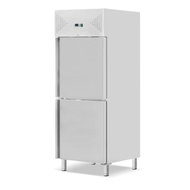レストランの商業用冷蔵庫新しい直立冷凍庫垂直冷蔵庫冷蔵庫商業用2つの固体ドア冷凍キャビネット