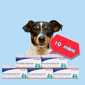 Jogo do teste do dirofilariose para cães-teste rápido do antígeno de CHW com precisão alta do ensaio do método coloidal do ouro 5-10 minuto para o uso veterinário - Product Image 5