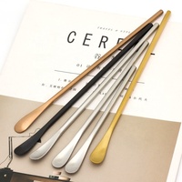 Accessoires Matcha Cuillère à thé Chashaku Cuillère à thé en acier de petite taille
