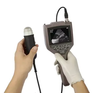 Handheld MSLVU43 Veterinaire Zwangerschap Vruchtbaarheid Sex Diagnose Ultrasound