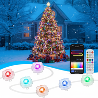 Luz Inteligente para Aleros de 1 Pie, 1 LED, ABS, IP67, Impermeable, Blanco Cálido, Control por Aplicación, DIY RGB+IC, Regulable, para Decoración Navideña