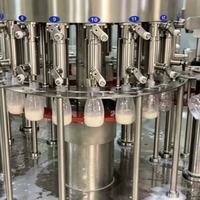 Llenadora de Botellas PET de Alta Precisión, Monobloque Independiente Especialmente Diseñada para Llenado de Jugos con Partículas de Fruta Suspendidas