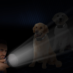 2025 Rechargeable IPX7 Étanche <span class=keywords><strong>300M</strong></span> <span class=keywords><strong>Range</strong></span> <span class=keywords><strong>Dog</strong></span> Training Shock <span class=keywords><strong>Collar</strong></span> Meilleurs produits du fabricant-Matériau en nylon plastique - Product Image 6