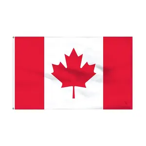 Huiyi, низкая цена, напечатанный на заказ, 3X5 полиэстер, флаг страны Канады, новый продукт, оптовая продажа, флаг всей страны