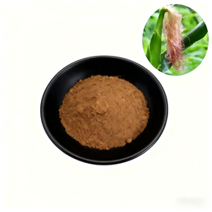 하이 퀄리티 도매 식품 학년 허브 추출물 10:1 옥수수 실크 오명 분말 건강 제아 메이스 L 용제 추출 - Product Image 3