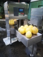 Daqiao Automatische Fruitmeloen Huidschiller Pomelo Schilmachine