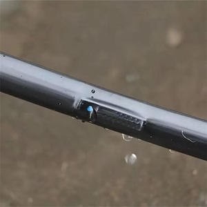 <span class=keywords><strong>Cinta</strong></span> <span class=keywords><strong>de</strong></span> <span class=keywords><strong>goteo</strong></span> <span class=keywords><strong>de</strong></span> 0.15mm-0.4mm con emisor plano, <span class=keywords><strong>cinta</strong></span> <span class=keywords><strong>de</strong></span> riego por <span class=keywords><strong>goteo</strong></span> antiobstrucción y <span class=keywords><strong>de</strong></span> ahorro <span class=keywords><strong>de</strong></span> agua para invernaderos y huertos. - Product Image 5