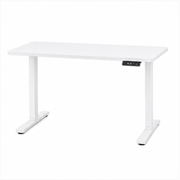 Bureau debout électrique moderne, durable et écologique, réglable en hauteur, facile à assembler, pour ordinateur portable, blanc - Vente flash