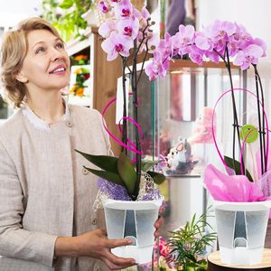 Macetas de autorriego para plantas de interior, transparentes con orificios de drenaje, macetas de plástico con depósito de agua para el hogar - Product Image 2