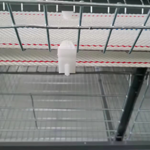 Automatic Broiler Chicken Farming Equipment <strong>a</strong> <strong>Type</strong> Poultry Broiler <strong>Cage</strong> for Nigeria - Product Image 4