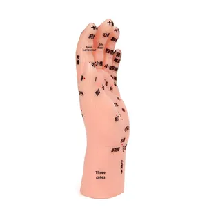 Modelo de Masaje Manual para Niños, 17 cm, Material de PVC, Reflexología, Puntos de Acupuntura, Masaje Pediátrico, Terapia de Meridianos, Referencia para el Hogar - Product Image 4