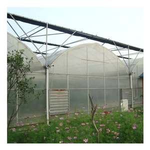 <span class=keywords><strong>Jardin</strong></span> agricole Polytunnel Poluycarbonate Garden Metal Grow Tent Aquaponic Commercial Multi-Span Green House - Product Image 3