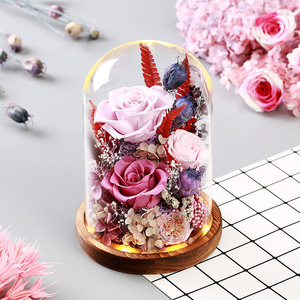 Forever Rose Under Glass Cloche con luz Juego de <span class=keywords><strong>regalo</strong></span> romántico Listo para regalar para su aniversario de cumpleaños de San Valentín - Product Image 1