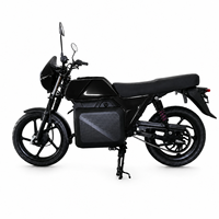 Hot Selling Long Range 85Km/h High Speed Powerful Adult Electric Motorbike for Daily Urban Commuter Travel