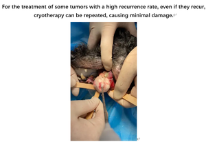 पशु (पालतू) ट्यूमर उपचार के लिए इलेक्ट्रिक क्रायोर्गेरी प्रणाली प्रमाणित कक्षा 2 1 वर्ष की वारंटी - Product Image 6