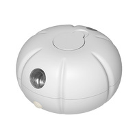 Diffuseur d'huiles essentielles USB mini en forme de citrouille, diffuseur de parfum sans flamme longue durée pour usage intérieur
