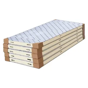 Schaumstoff Zement-Sandwichplatten 100 mm 150 mm 200 mm Pu feuerfeste Sandwichplatte Wand