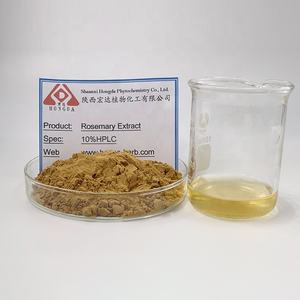 HONGDA rossary Flavor 5% 10% di acido rosmarinico in polvere estratto di rosmarino integratore alimentare - Product Image 5