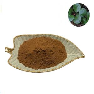 Lonierherb Supply Wateroplosbare 5:1 10:1 20:1 Kruidenextract Lu Xian Cao Pyrola Calliantha Extract Poeder - Product Image 1