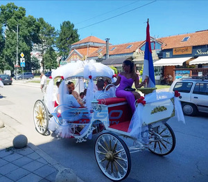 Wedding Horse Carriage Luxury Classical Pumpkin Horse Wagon Luxury Wedding Carriage Special Transport Electric Horse Carriage - Product Image 5