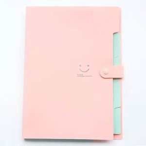 <b>A4</b> Multi-Layer <b>Folder</b> Bag Candy Color Five Grid Organ Bags Large Capacity Simple Office School Supplies <b>File</b> <b>Folders</b> - Product Image 6