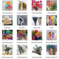 Couronne de fleurs naturelles préservées, faite à la main, longue durée, pour décoration murale ou de porte d'entrée – Vente en gros tout-en-un