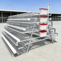 Cages à poules pondeuses de type A avec système d'alimentation entièrement automatique, en treillis métallique galvanisé pour élevages commerciaux