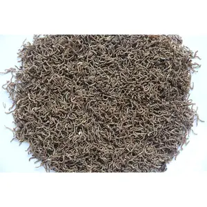 Manufacturers direct sales of new high-quality flavor pet food storage blood worms