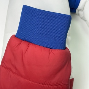 Chaqueta de plumón personalizable para hombre para actividades al aire libre de invierno de alta calidad a prueba de viento impermeable con logotipo de tela tejida unida - Product Image 4
