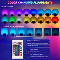 Lampu Sorot LED RGB Luar Ruangan IP66 220-240V 50/100W Kontrol Jarak Jauh IP66 Aluminium Die-Casting Colokan EU Lampu Proyektor LED Reflektor