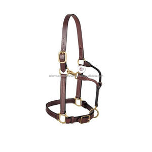 Cabestro de cuero de caballo de alta calidad, el mejor de su clase para propietarios de caballos - Product Image 1