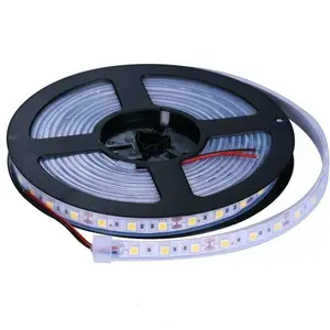 5050 60-LED 14.4 W/M blanc chaud extérieur led bandes lumineuses étanche température de couleur CCT WiFi télécommande Bluetooth commutateur