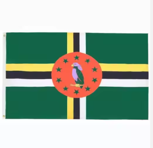 <span class=keywords><strong>Drapeau</strong></span> d'Haïti Promotion <span class=keywords><strong>Drapeau</strong></span> personnalisé extérieur 3x5ft Sublimation Bannière personnalisée Design personnalisé Volant 3x5 Ft - Product Image 6